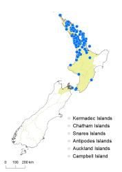 Asplenium lamprophyllum distribution map based on databased records at AK, CHR, OTA & WELT.
 Image: K. Boardman © Landcare Research 2017 CC BY 3.0 NZ